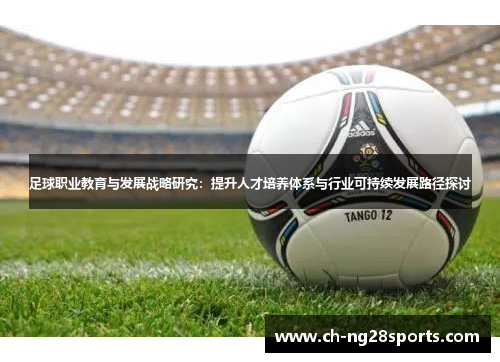 足球职业教育与发展战略研究：提升人才培养体系与行业可持续发展路径探讨