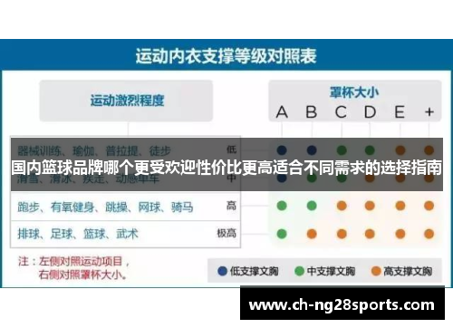 国内篮球品牌哪个更受欢迎性价比更高适合不同需求的选择指南