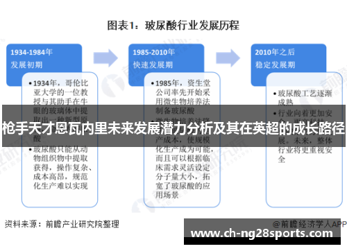 枪手天才恩瓦内里未来发展潜力分析及其在英超的成长路径