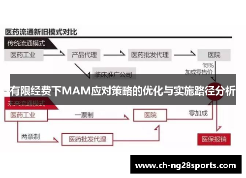 有限经费下MAM应对策略的优化与实施路径分析