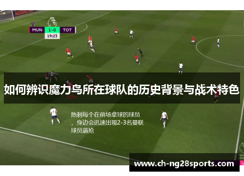 如何辨识魔力鸟所在球队的历史背景与战术特色