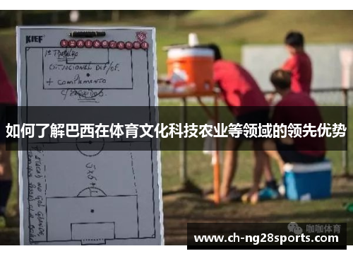 如何了解巴西在体育文化科技农业等领域的领先优势