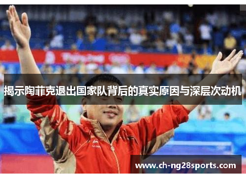 揭示陶菲克退出国家队背后的真实原因与深层次动机